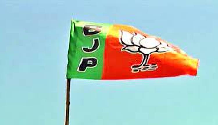 ap bjp