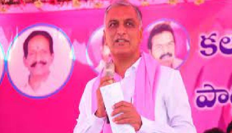 harish rao