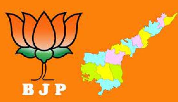 bjp-focus