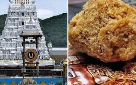 tirumala-laddu