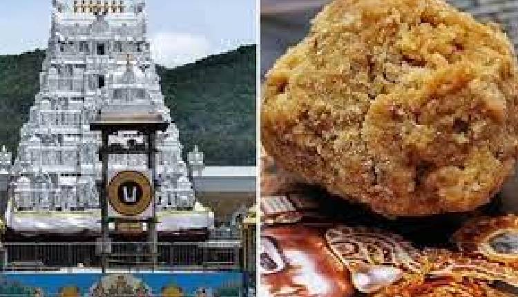 tirumala-laddu