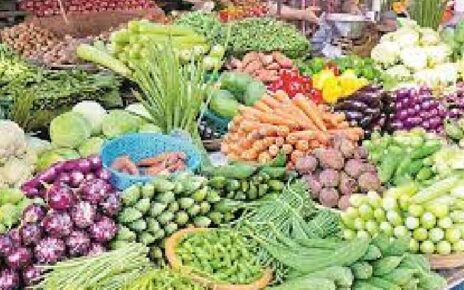 vegtable-hyd