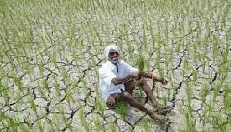 drought-karim nagar