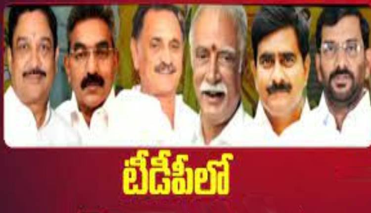 tdp-super seniors