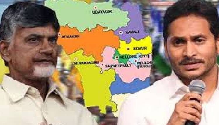 nellore-tdp